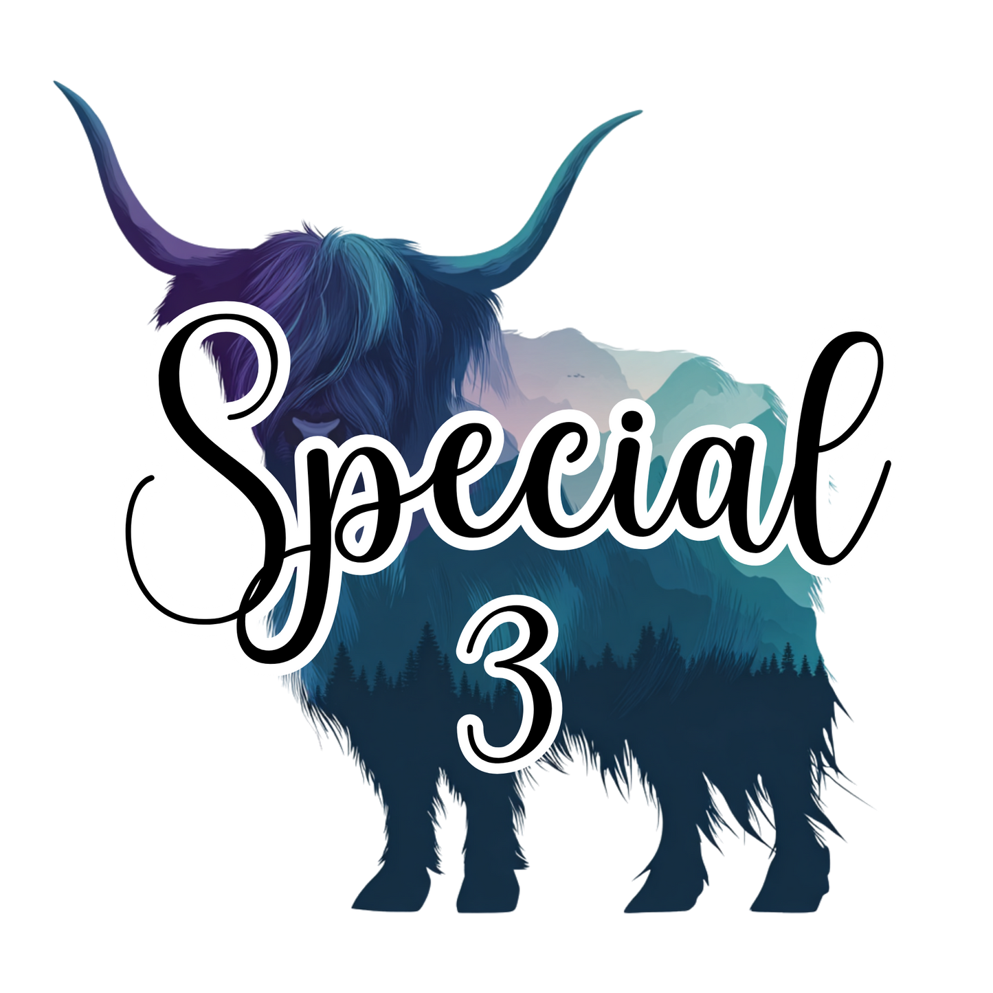 SPECIAL 3