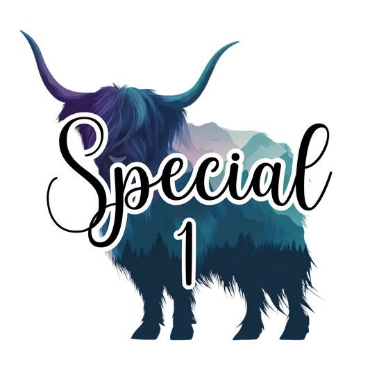 SPECIAL 1