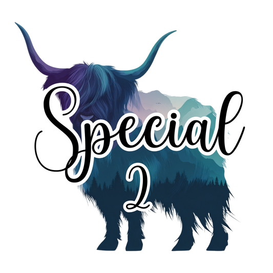 SPECIAL 2