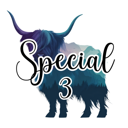 SPECIAL 3